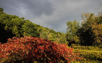Red and Green 2
