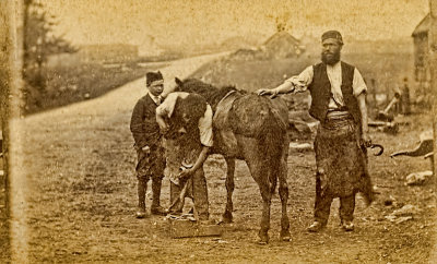 The Farrier