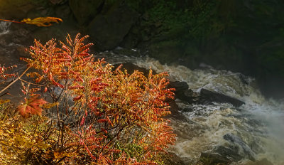 Sumac and River