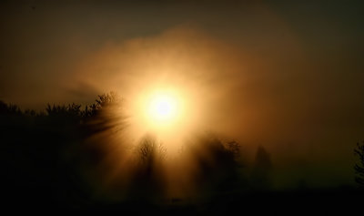 Sun Through the Mist 