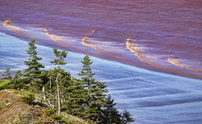 Tidal Bore