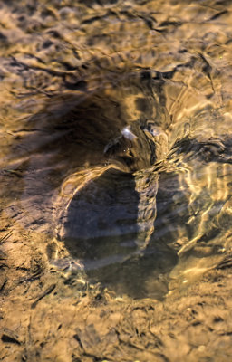 Whirlpool