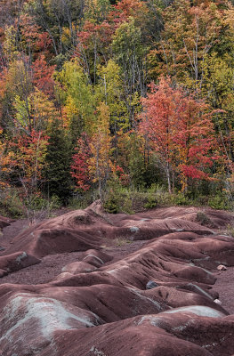 Badlands in the Fall