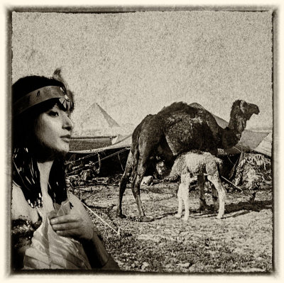 Priestess and Camels 