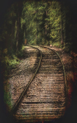 Woodland Rails