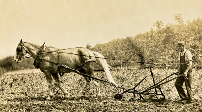 One Horse Plow 