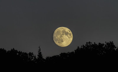 Supermoon Rising 