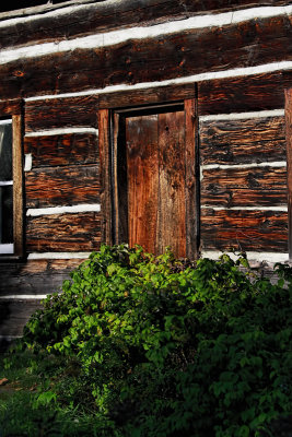 The Cabin Door