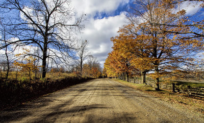 From a Fall Drive