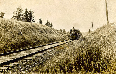 Along the Tracks 