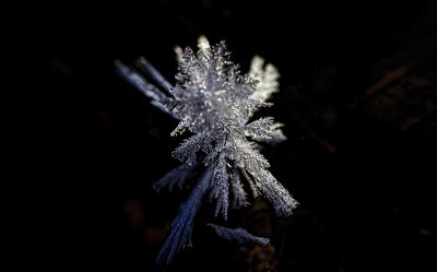 Frost Macro 