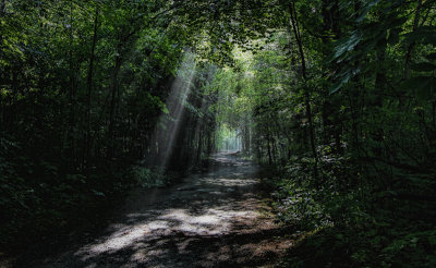 The Path to Hilton Falls