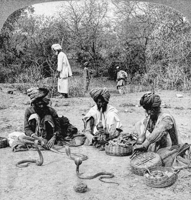 Snake Charmers