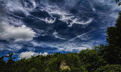 Clouds and Trees