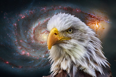 Eagle in Space