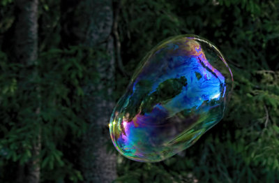 Bubble