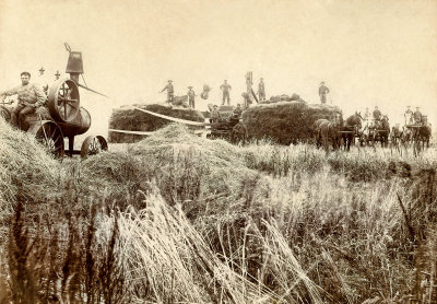 Threshing Time