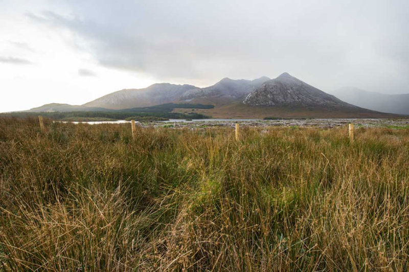 IMG_5103.jpg Twelve Bens and Lough Inagh - Galway -  A Santillo 2013