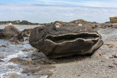 IMG_6223.jpg Rock frog - Fort Saumarez Headland, St Pierre du Bois -  A Santillo 2014