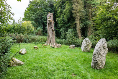 IMG_7252.jpg The Nine Stones, Winterbourne Abbas -  A Santillo 2016