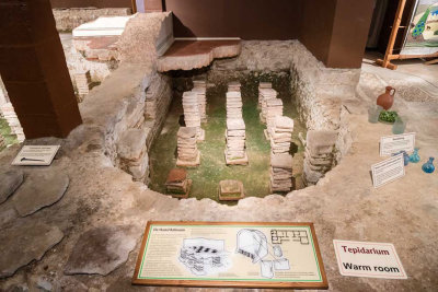 IMG_6760.jpg Newport Roman Villa, Cypress Road Newport - © A Santillo 2015