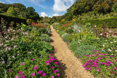 IMG_6846.jpg Mottistone Manor Garden, Mottistone - © A Santillo 2015