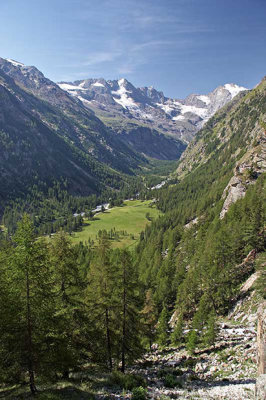 _MG_1147.jpg Parco Nazionale Gran Paradiso, Cogne, Val Valnontey -  A Santillo 2006