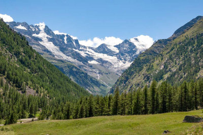 _MG_0665.jpg Cogne, Valnontey, Parco Nazionale Gran Paradiso -  A Santillo 2006