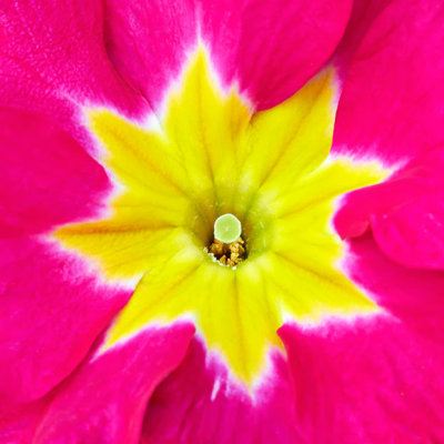 g10/00/203100/3/165589350.6HIo4a6X.jpg