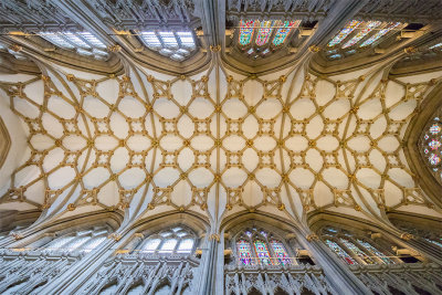 IMG_7542-Edit.jpg Wells Cathedral - Wells, Somerset -  A Santillo 2017