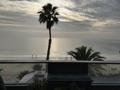 Laguna Beach January, 1