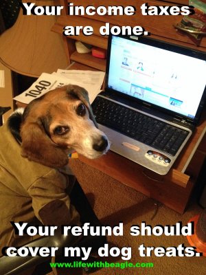 Tax Day Dog.jpg