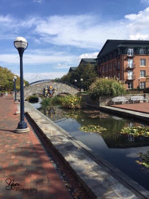 Carroll Creek