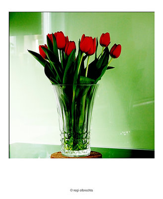 Red Tulips in a New Kitchen