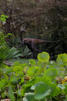 Zilker Botanical Gardens