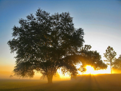 Morning has broken.