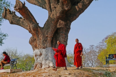 Sarnath