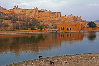 01_Amer Fort seen early morning.jpg