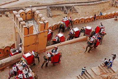 15_Amer Fort.jpg