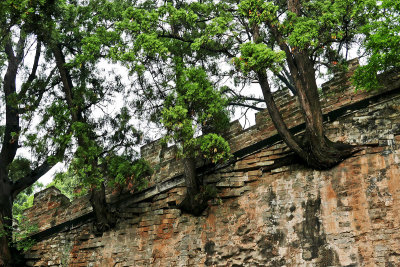 09_Power_of_the_roots.jpg