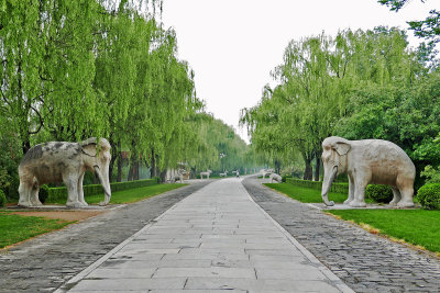 26_Also_known_as_the_Elephant_Road.jpg