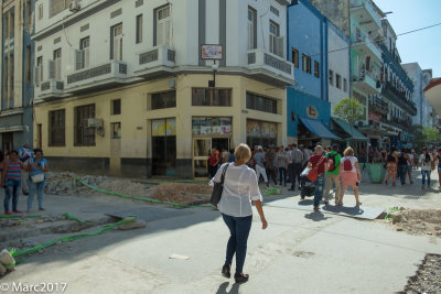 _DSF3288.jpg