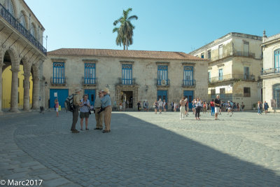 _DSF3463.jpg