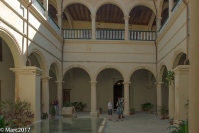 _DSF3470.jpg
