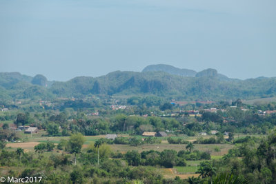 _DSF3586.jpg