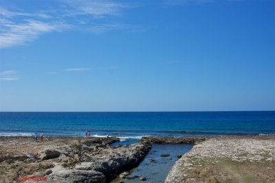 _DSC6507.jpg