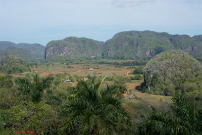 _DSC6700.jpg