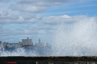 _DSC6851.jpg