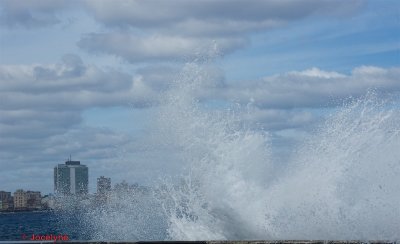 _DSC6854 - Version 2.jpg