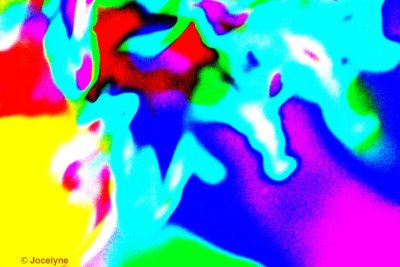 _DSC8749 AA.jpg